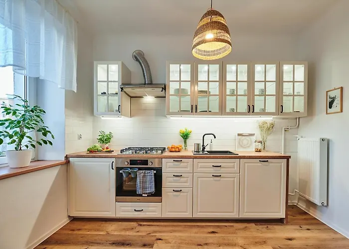 Pod Wierzba Srodmiescie 奥尔什丁