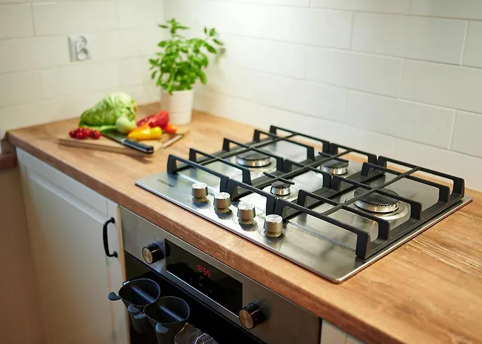 Pod Wierzba Srodmiescie 公寓